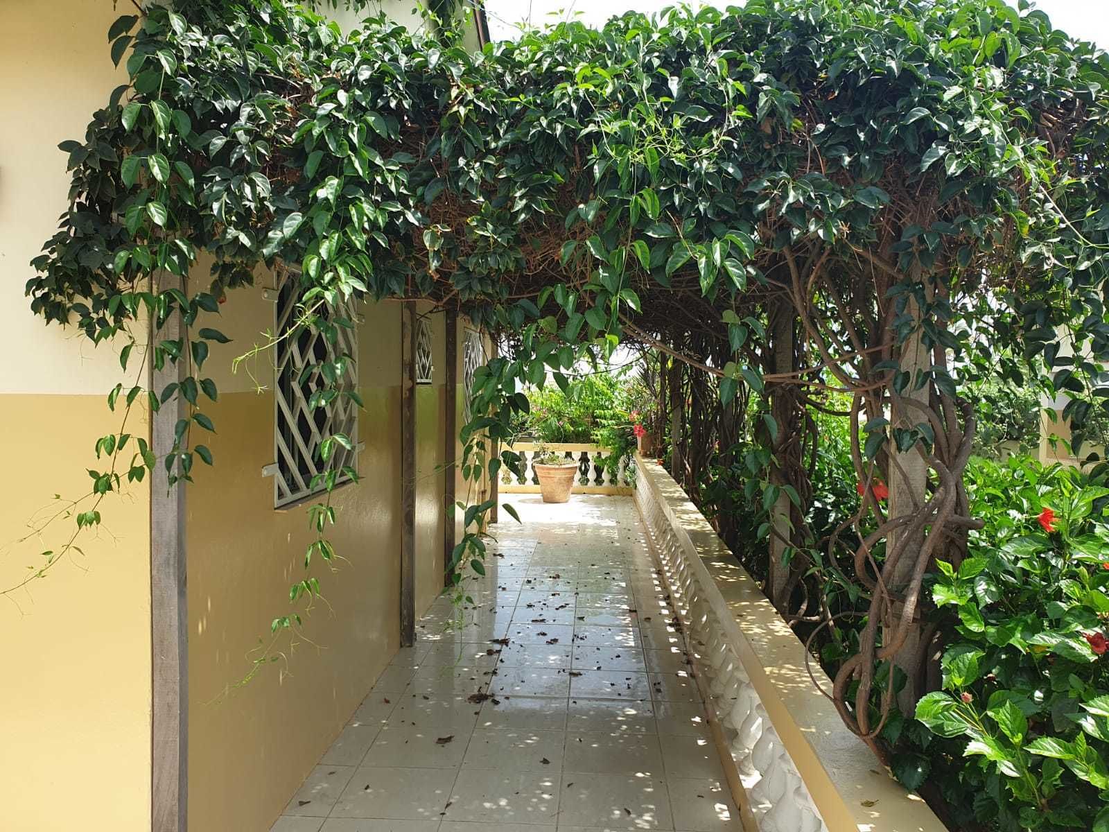 Vista para o jardim