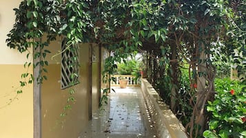 Vista para o jardim