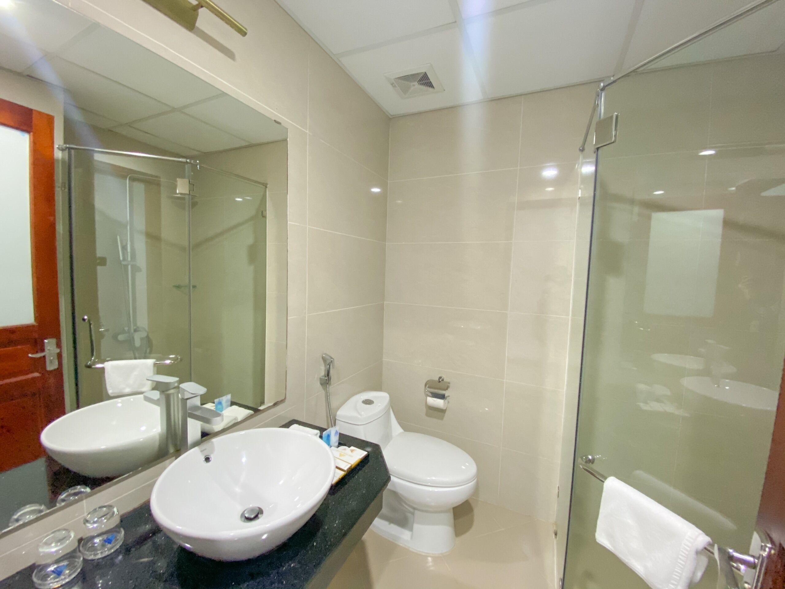 A modern bathroom with a glass shower enclosure, a white sink, and a toilet.