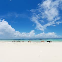 Private beach, white sand, sun-loungers, beach towels