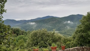 A stone-paved terrace with terracotta planters, overlooking a lush valley and distant mountains under a cloudy sky. - Country Residence Turicchi (Dicomano)