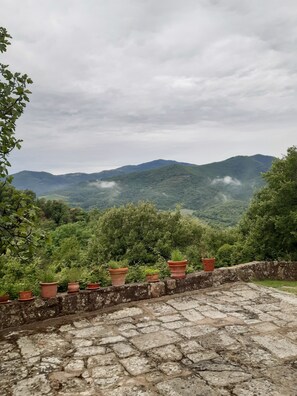 Land view from property