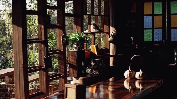 Un interior de madera con diseño rústico, que incluye un mostrador de madera y estantes con plantas y adornos.