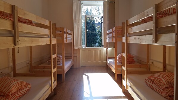 A room with bunk beds, a window with a view of trees, and a radiator.