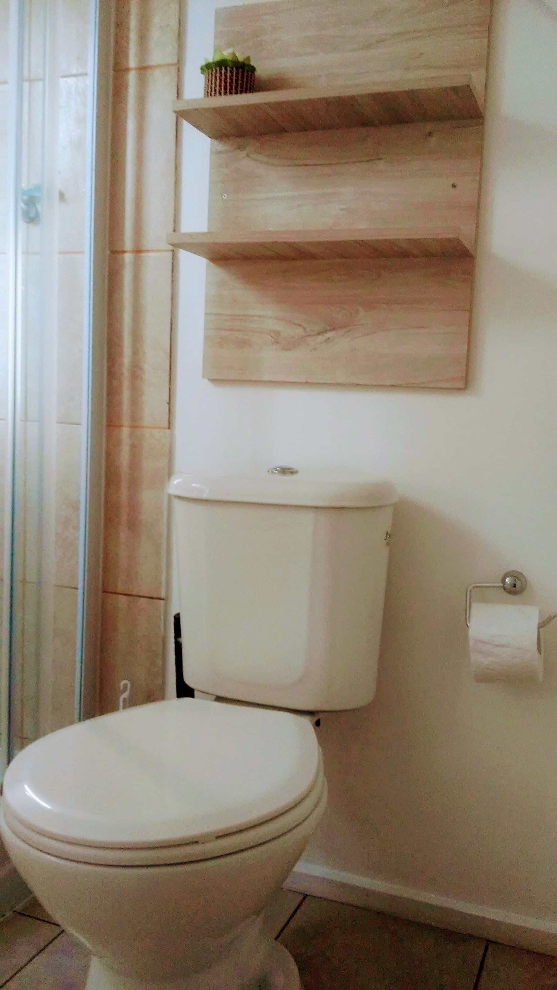 Ein Badezimmer mit Toilette, einem Regal mit Pflanze und einem Toilettenpapierhalter.
