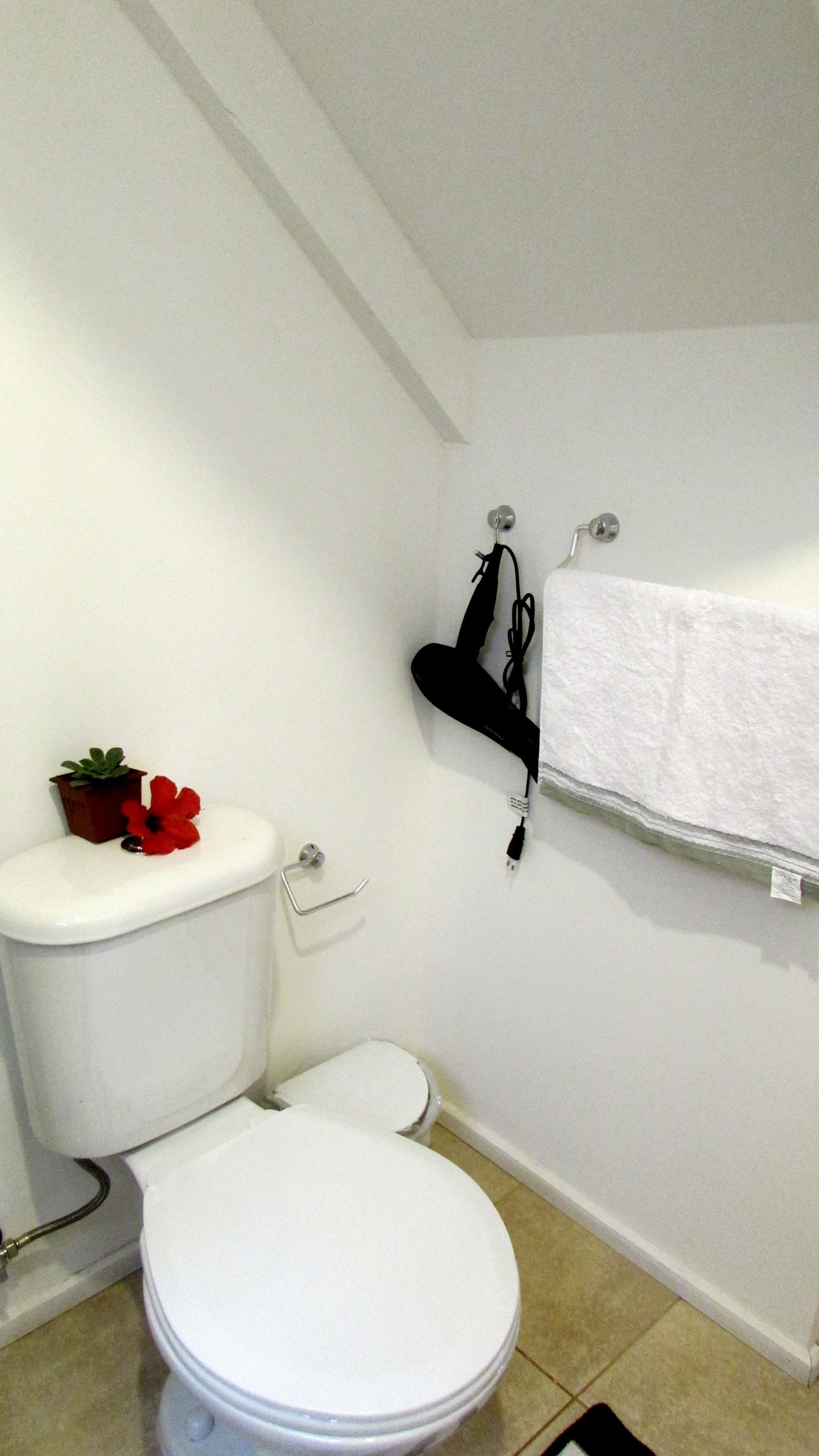 A small, clean bathroom with a toilet, a towel rack, and a small potted plant.