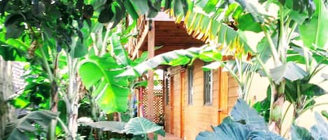 Een houten huis met veranda, omringd door weelderige begroeiing en bananenplanten.