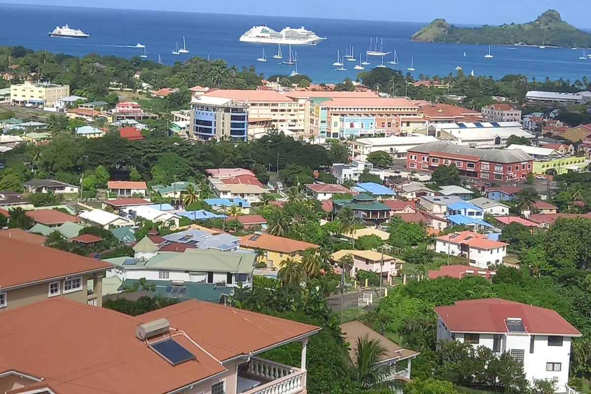 A coastal town with a mix of residential and commercial buildings, a marina with boats, and a clear view of the ocean.