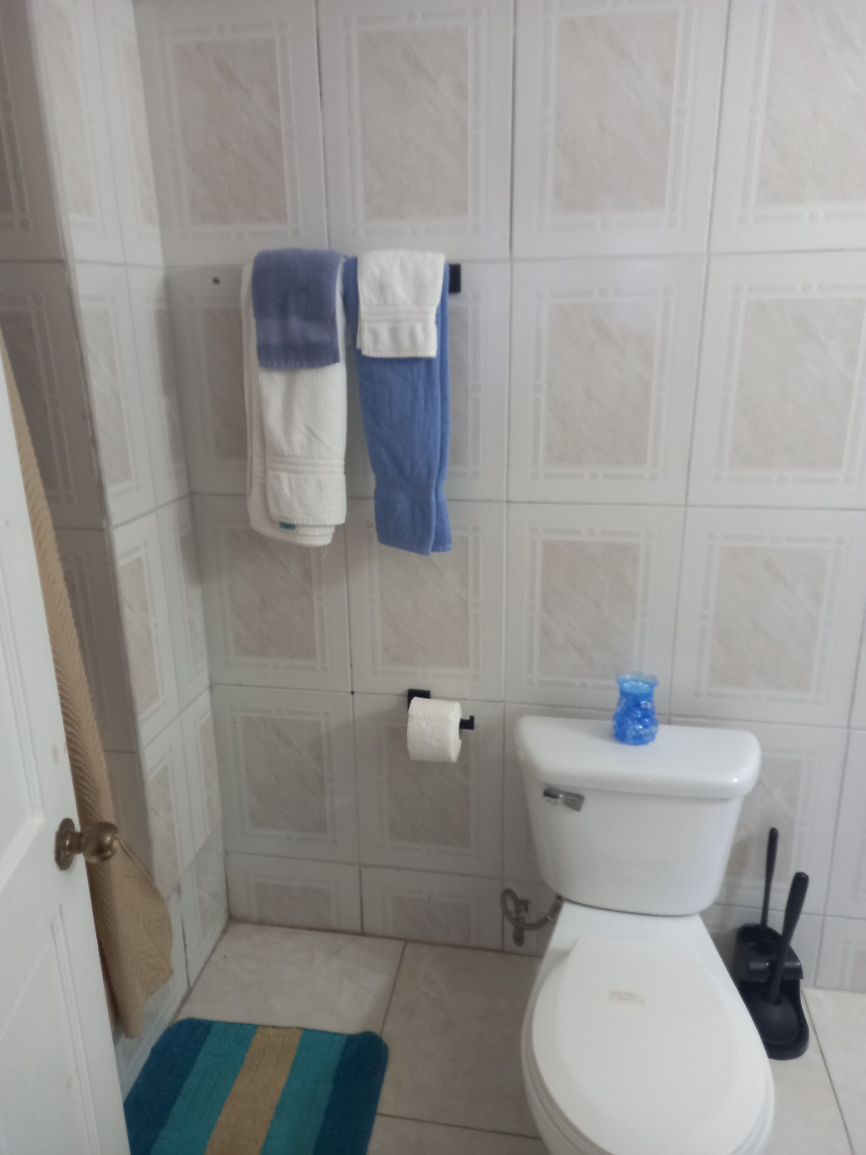 Ein Badezimmer mit Toilette, einer blauen Toilettenbürste, einer Toilettenpapierrolle und einer Streifen-Badematte.