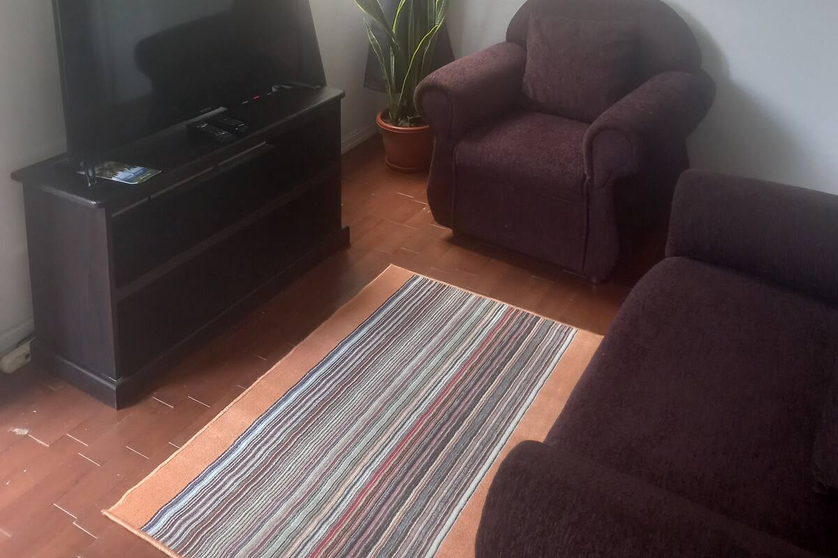 A living room with a flat-screen TV, a potted plant, two armchairs, a striped rug, and a window with curtains.