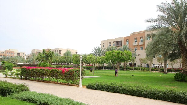 A landscaped courtyard with a paved walkway, palm trees, and a building with balconies.