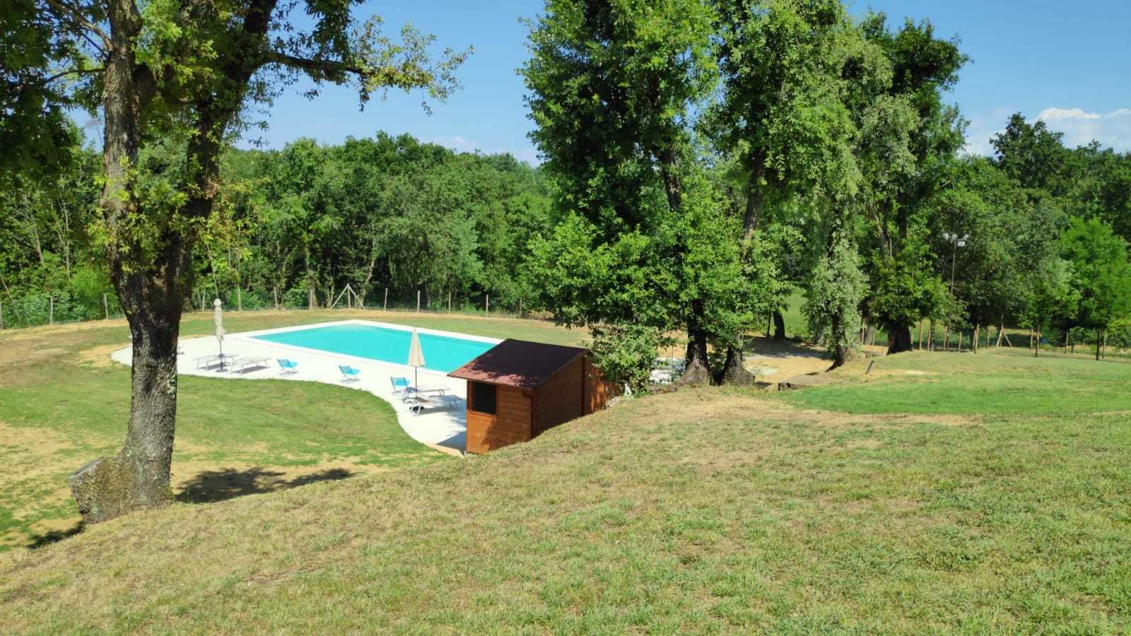 Un jardin avec une piscine, un abri en bois et une pelouse.