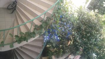 Basic Double or Twin Room | Teres/patio