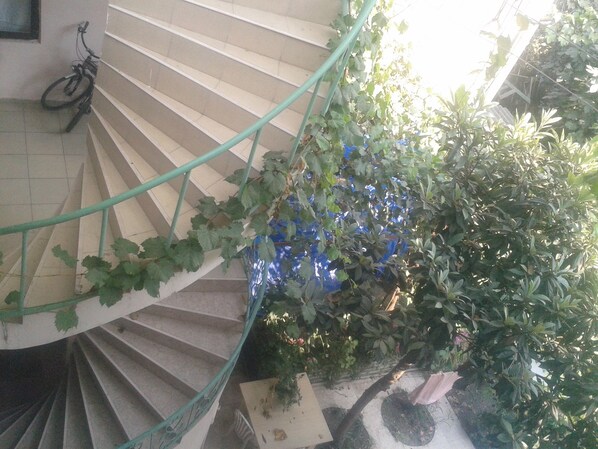 Basic Double or Twin Room | Terrace/patio - Maxim (Batumi)