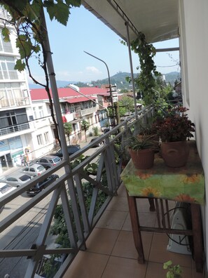 バルコニーからの眺望