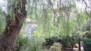 Garden - Bed and breakfast Villa Forte (Battipaglia)