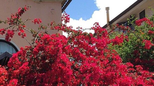 Front of property - Bed and breakfast Villa Forte (Battipaglia)