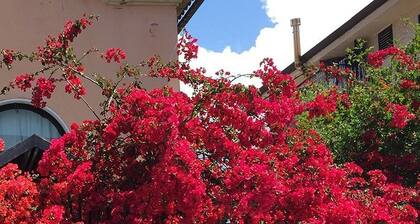 Bed and breakfast Villa Forte
