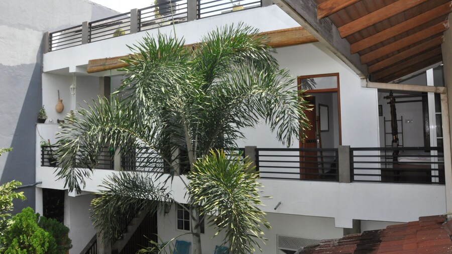 Molesworth Homestay