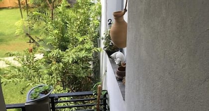 Molesworth Homestay