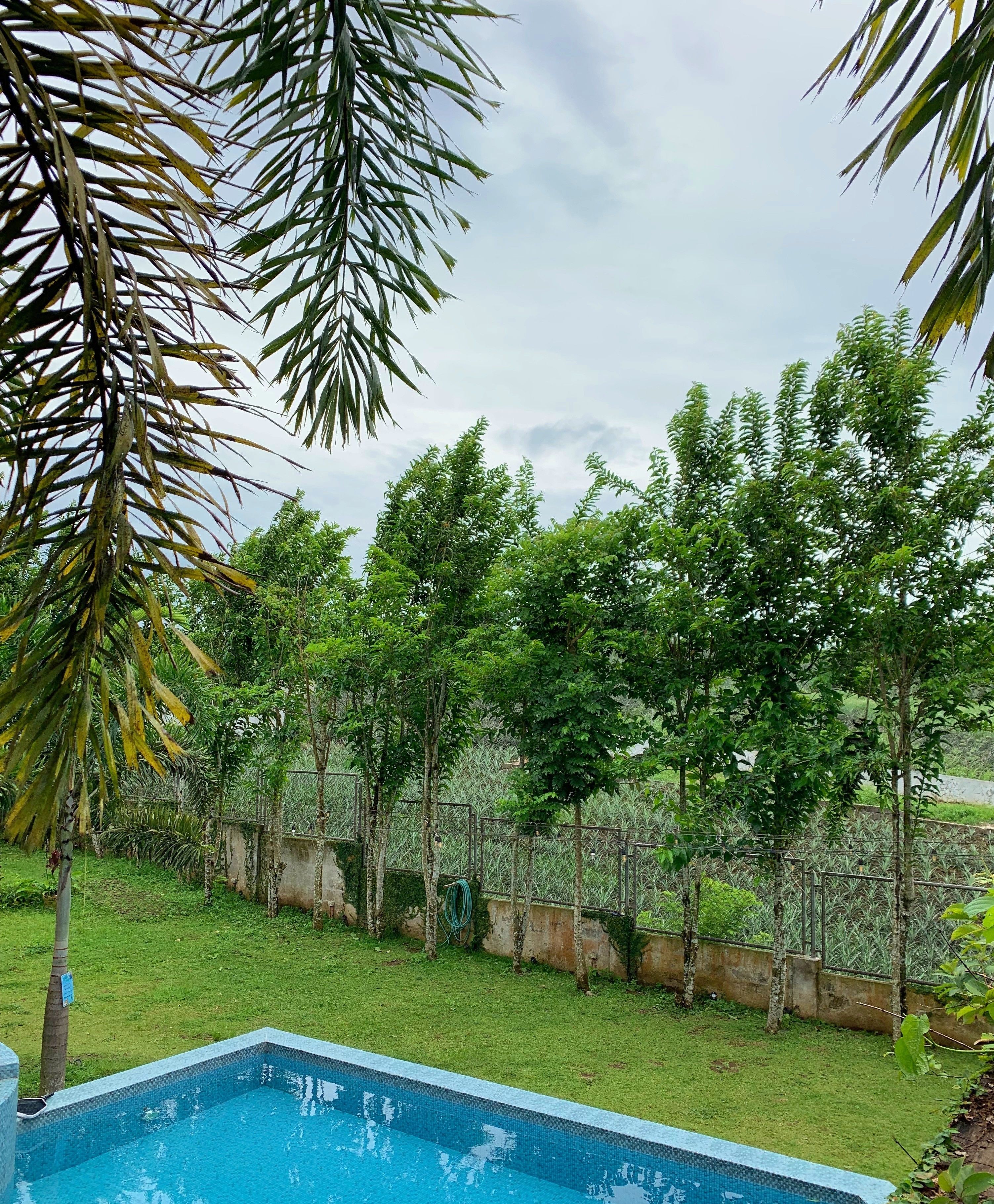 A swimming pool surrounded by a grassy area and trees.