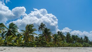 A beach with palm trees and a clear sky. - Chrystal Baharini (Diani Beach)