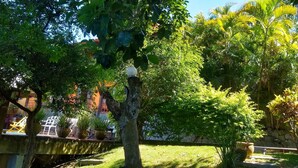 A lush garden with various potted plants and a stone wall. - Mira Playa Geribá (Búzios)