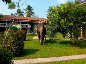 Façade de l’hébergement