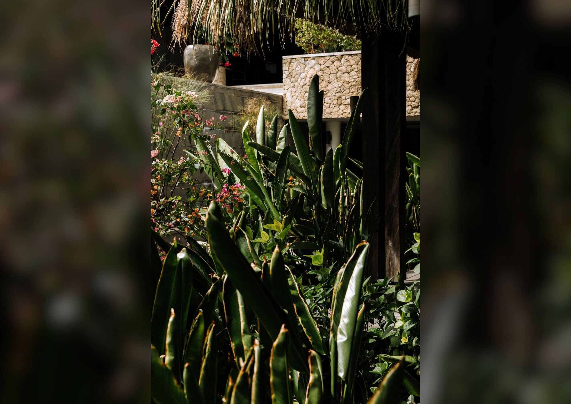 Un jardín con diversas plantas y flores, un muro de piedra y un banco de hormigón.