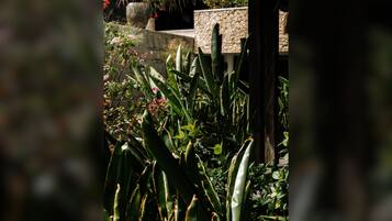 Um jardim com diversas plantas e flores, um muro de pedra e um banco de concreto.