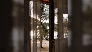 Vista attraverso una porta con palme e un pontile di legno.