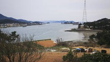 A river with a bridge, a power line tower, and a distant town.