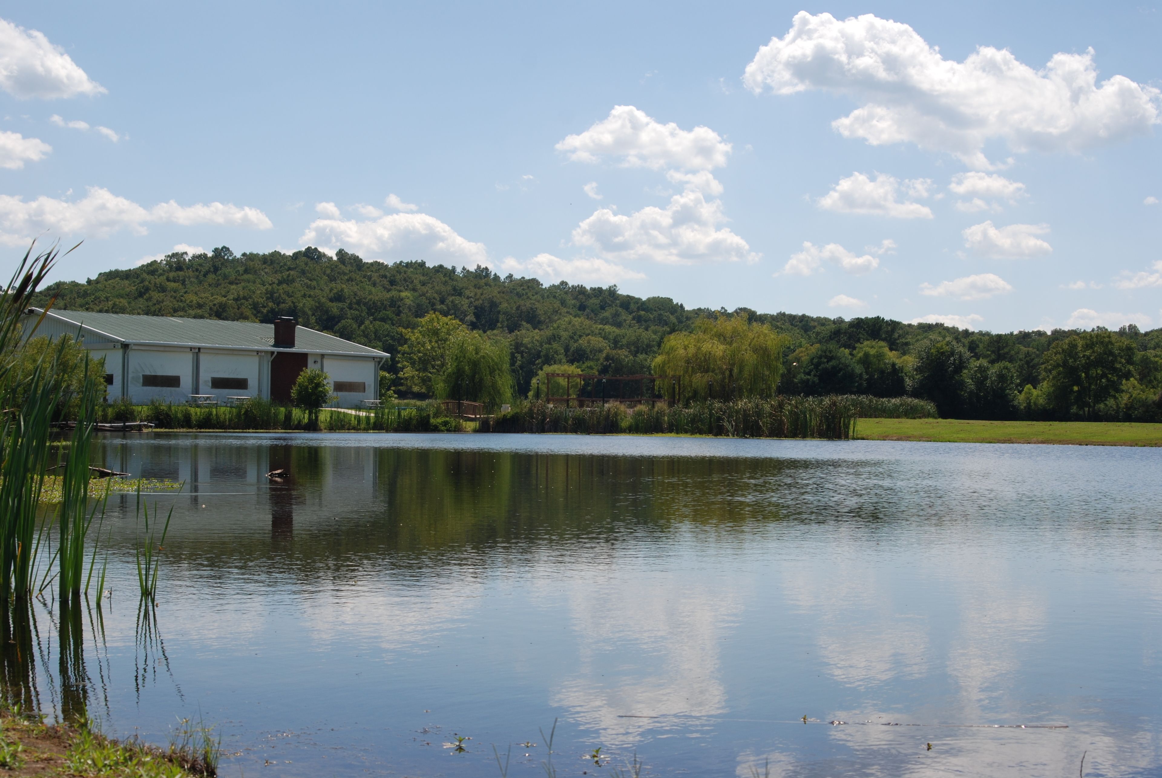 Una vista tranquilla su un lago, con un edificio, acque calme e vegetazione rigogliosa.