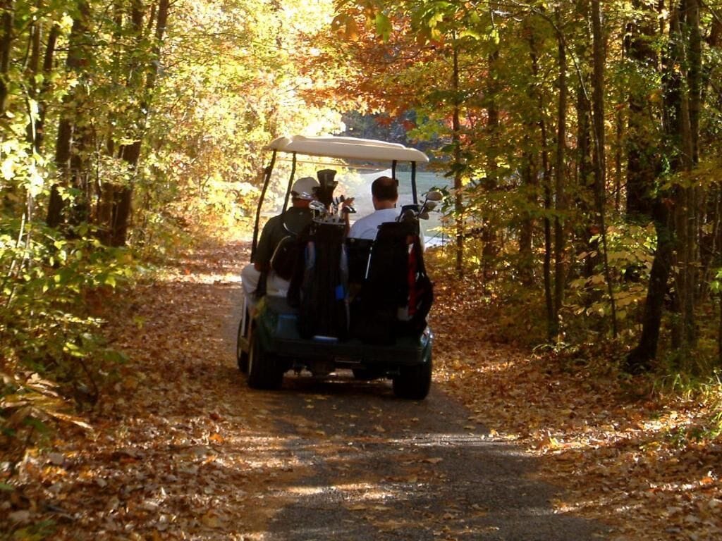Ein Golfwagen auf einem von Laub bedeckten Weg in bewaldetem Gebiet.