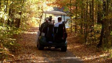 Ein Golfwagen auf einem von Laub bedeckten Weg in bewaldetem Gebiet.