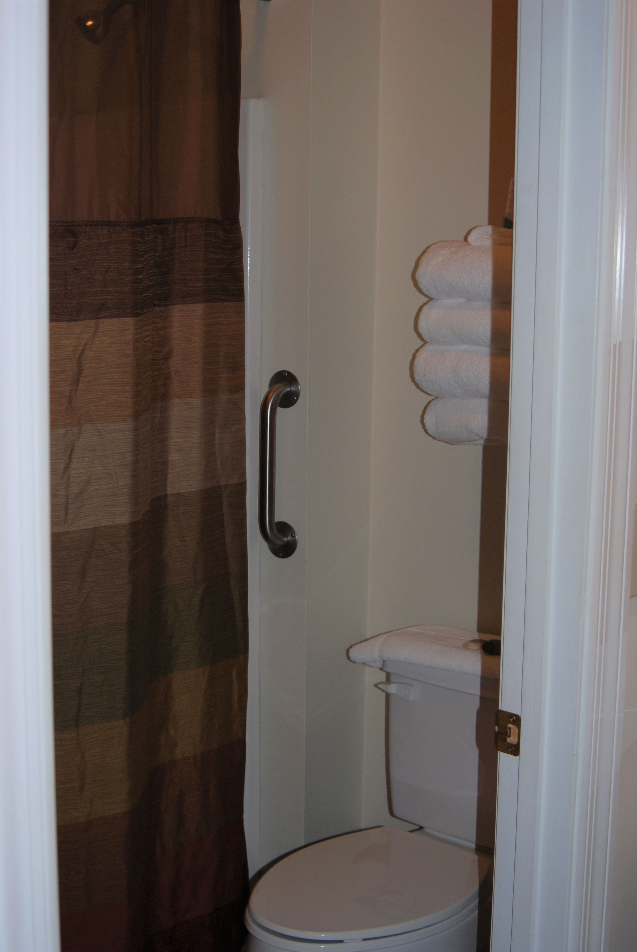 A bathroom with a shower curtain, a toilet, and a towel rack.