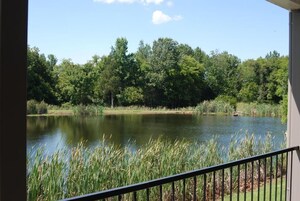 Vistas desde el alojamiento