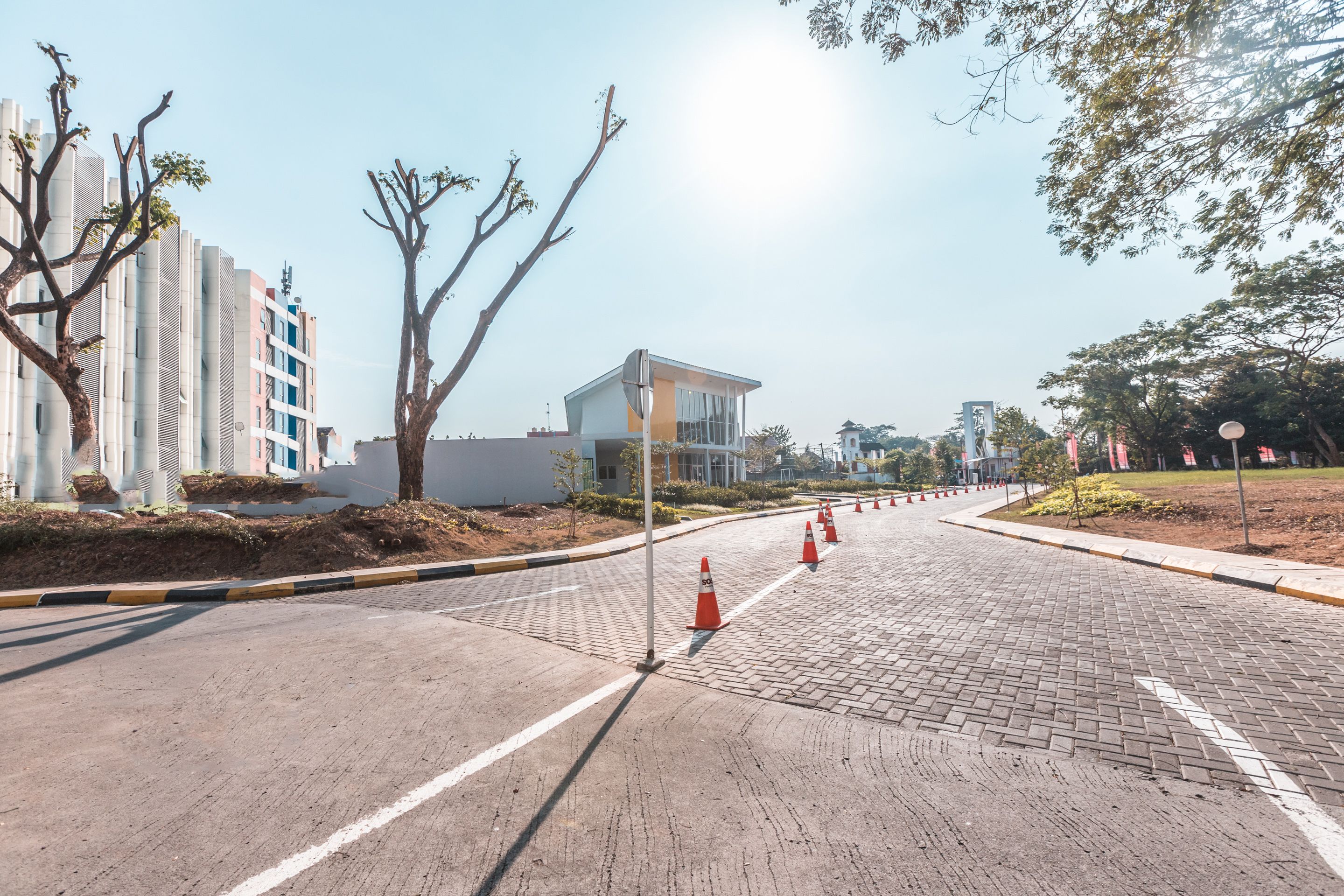 A paved road with orange traffic cones, a modern building with a flat roof, and bare trees.