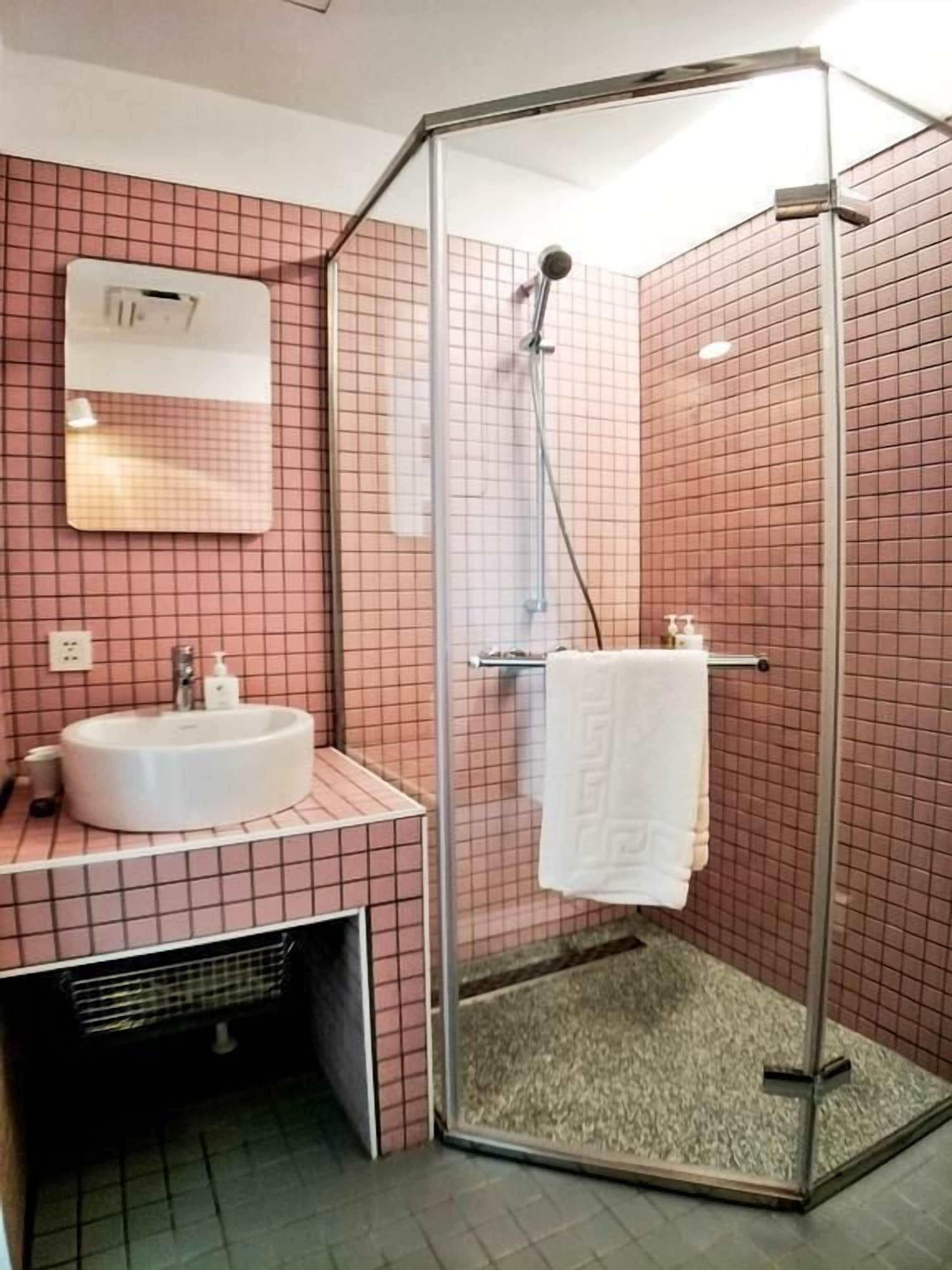 standard double room | bathroom shower