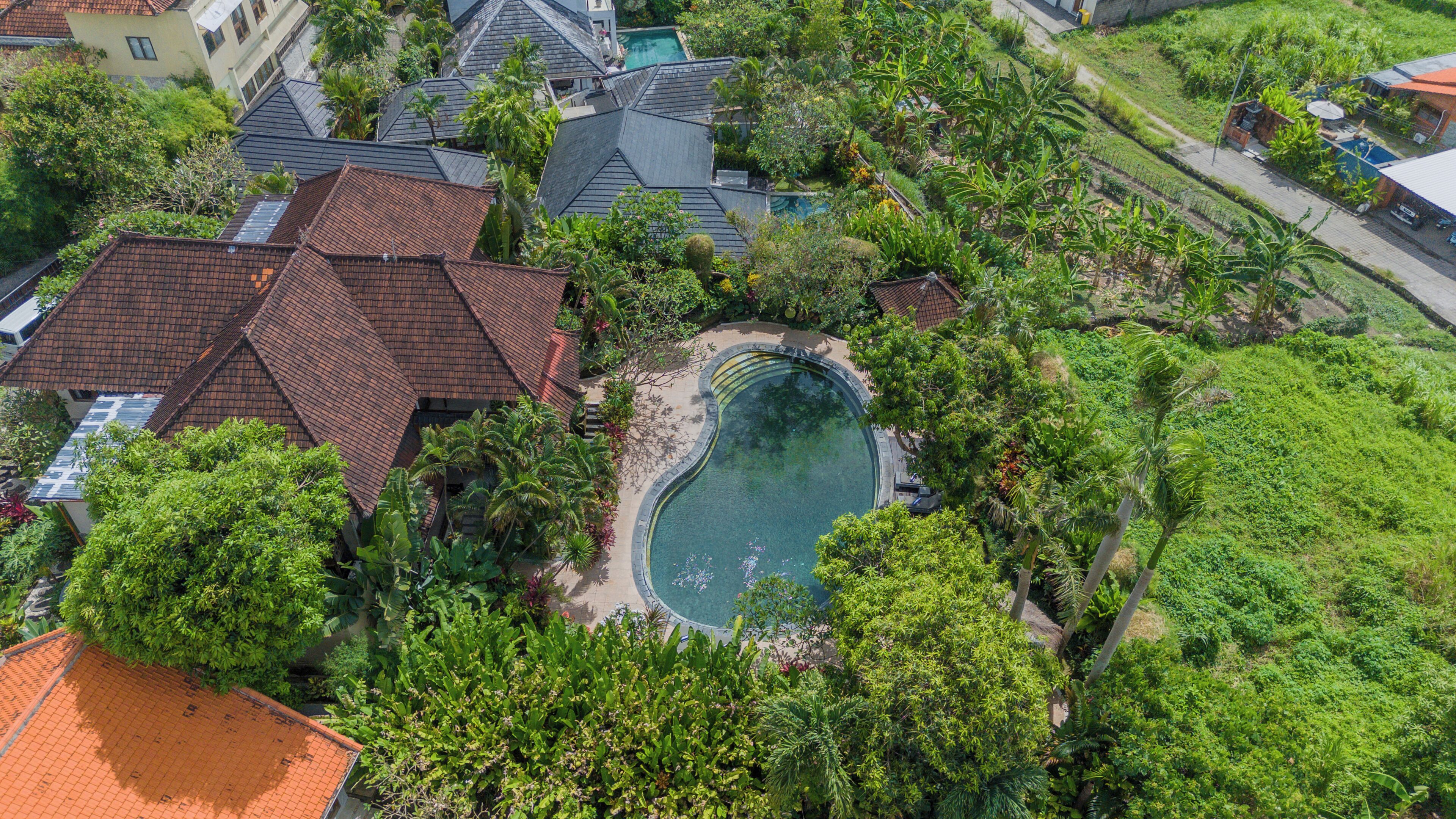 An aerial view of a residential area with a swimming pool surrounded by lush greenery and houses with sloped roofs.