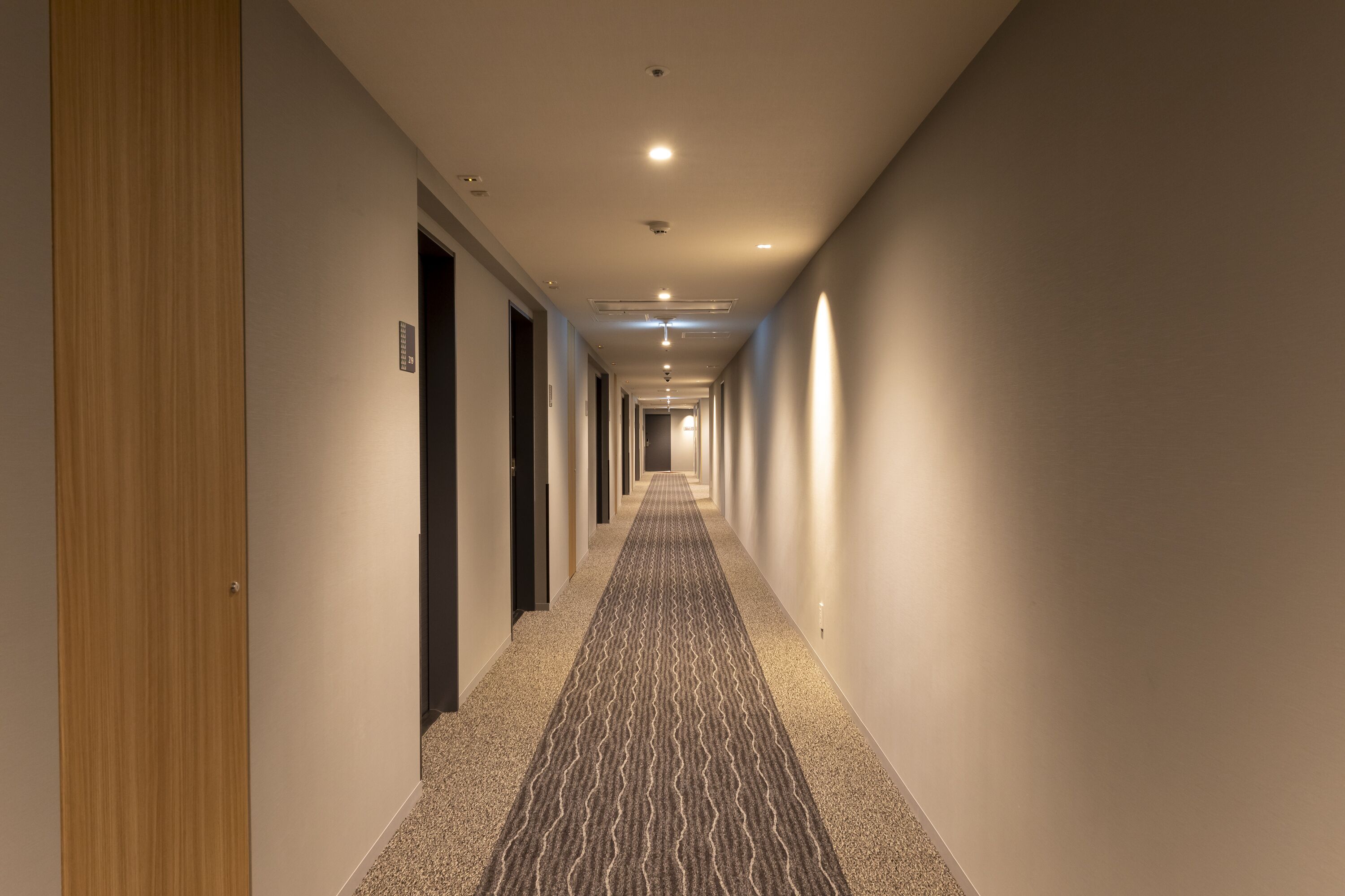 A long, narrow hallway with carpeted floors and walls, leading to a door at the end.