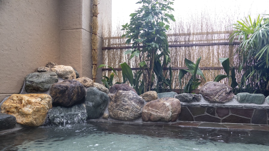 Dormy Inn Kawasaki Natural Hot Spring