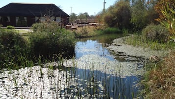 Overnatningsstedets område