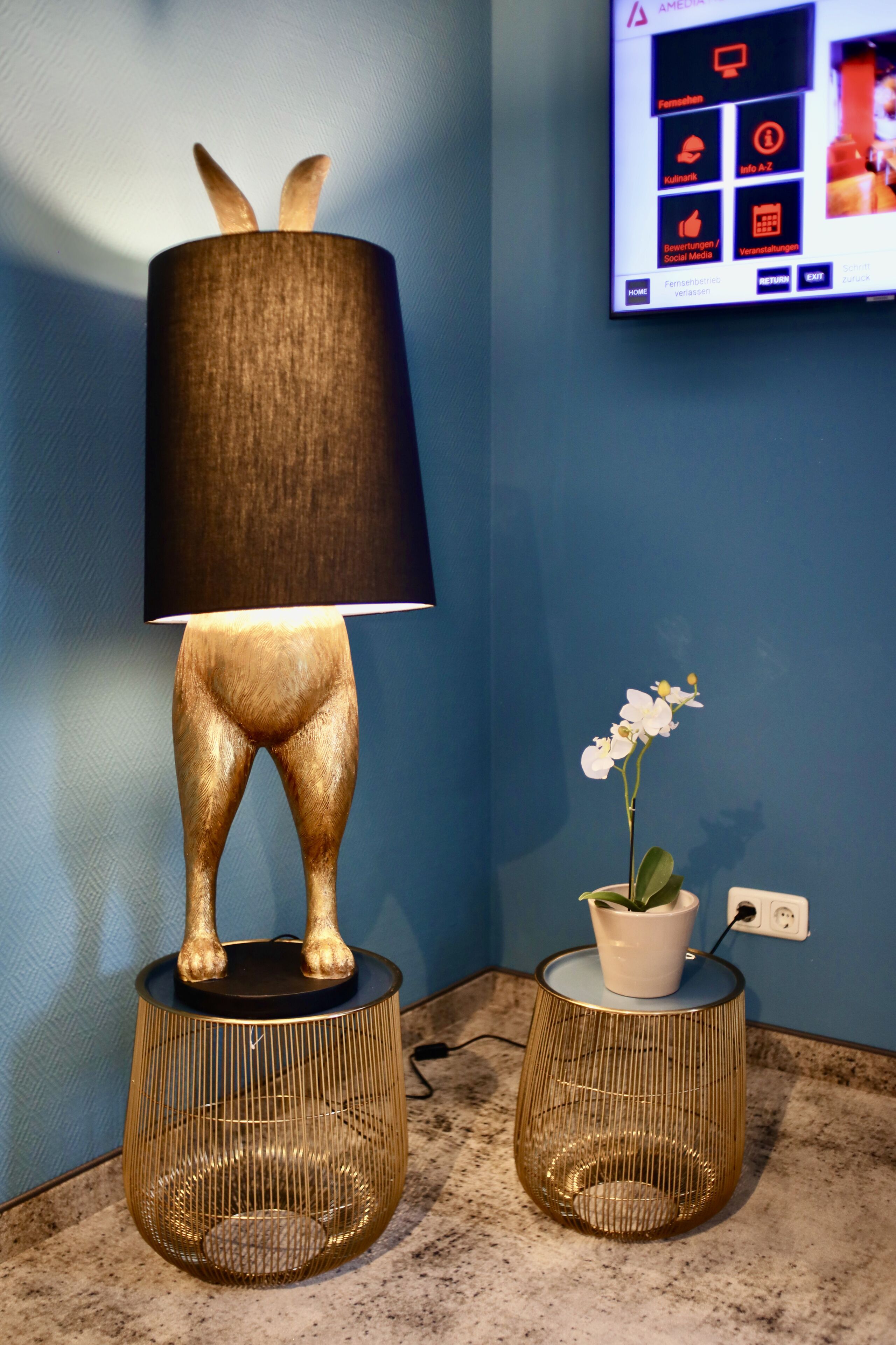 43-inch flat-screen tv with cable channels, tv