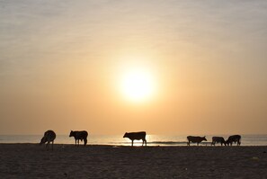 Beach - Suleima Lodge (Batokunku)