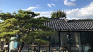 A traditional building with a tiled roof, surrounded by pine trees. Inside, there are glass walls and outdoor seating areas. - Jeonju Geune (Jeonju)