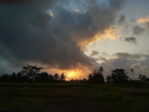 Un paysage avec un coucher de soleil, des arbres et un ciel nuageux.