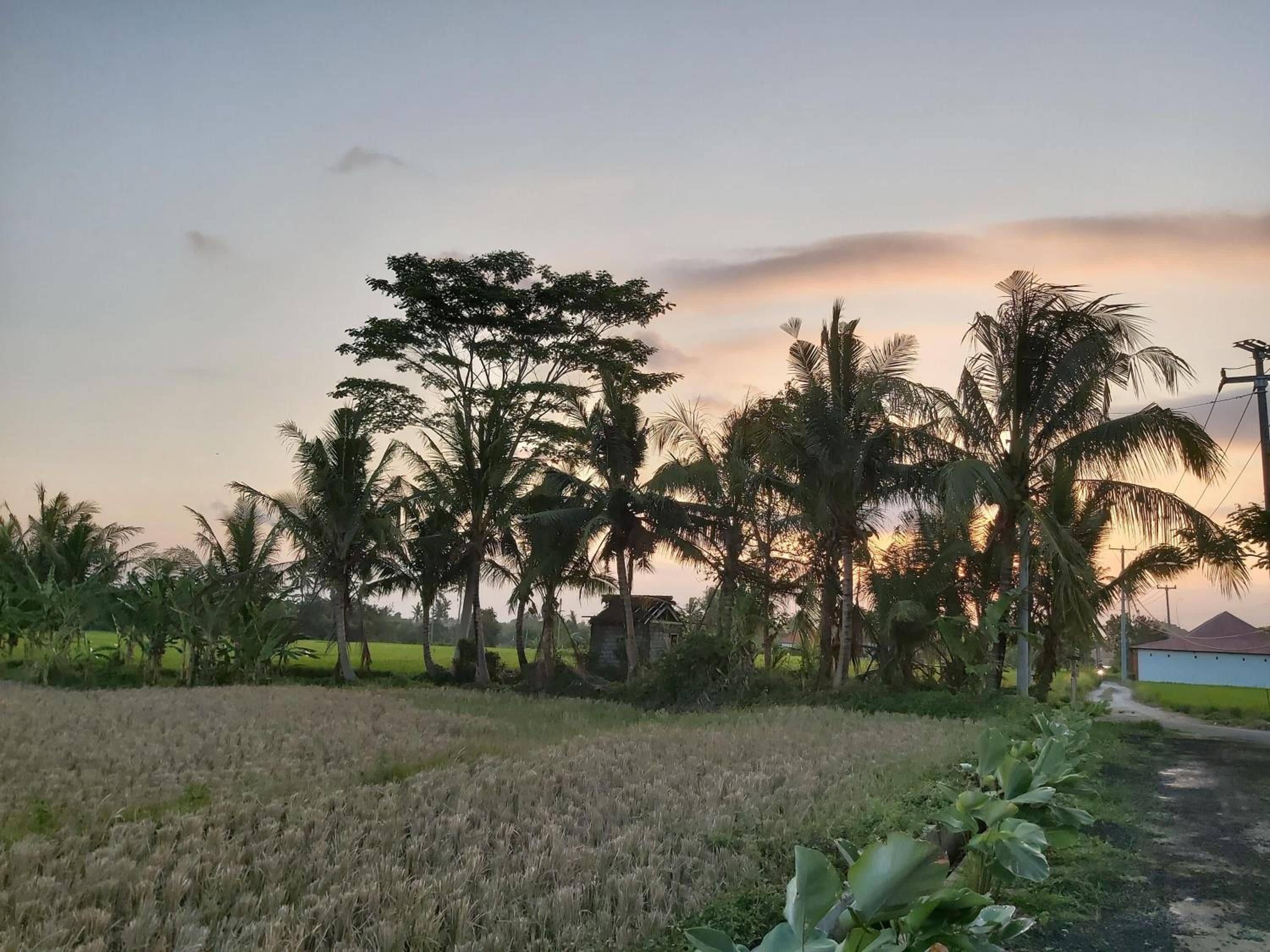 Photo - Ayuna Family Ubud