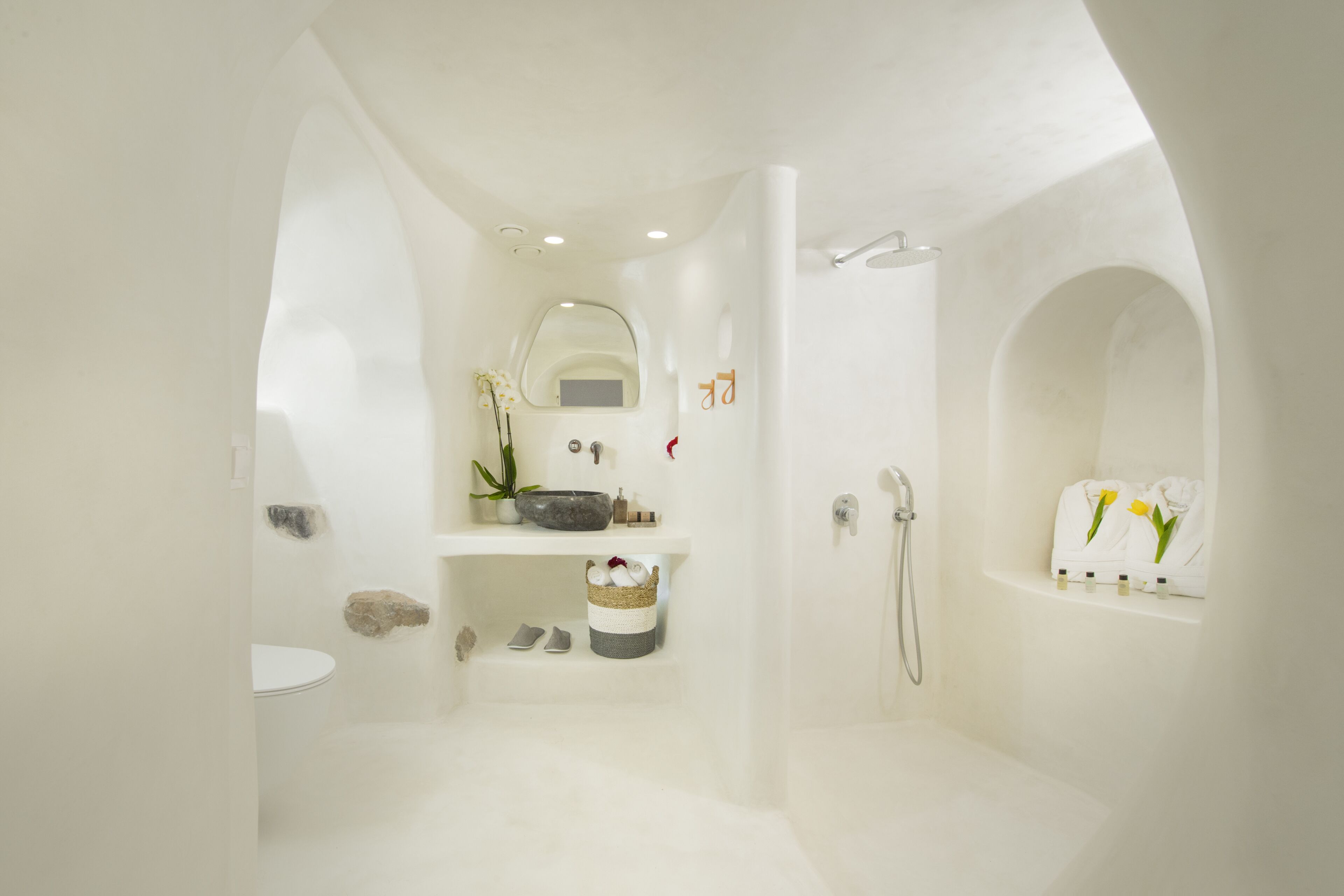 Een moderne badkamer met een bad, een wastafel en een douche. Er is een plank met toiletartikelen en een potplant.