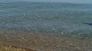 Una playa cerca